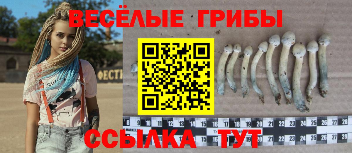 Кирово-Чепецк  Псилоцибиновые грибы прущие грибы  Вход с VPN 